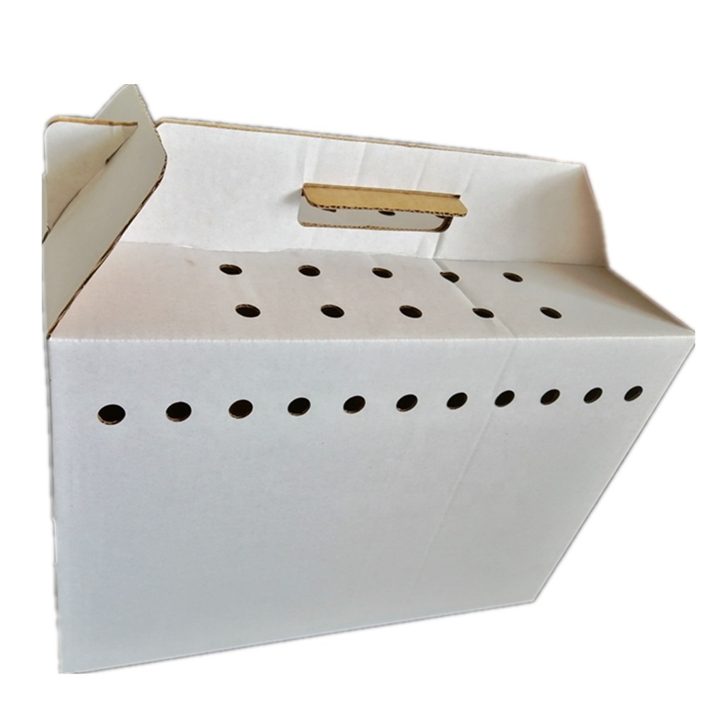 Wholesale pet cat dog carrier ventilated holes corrugated cardboard boxes with cut out handle design