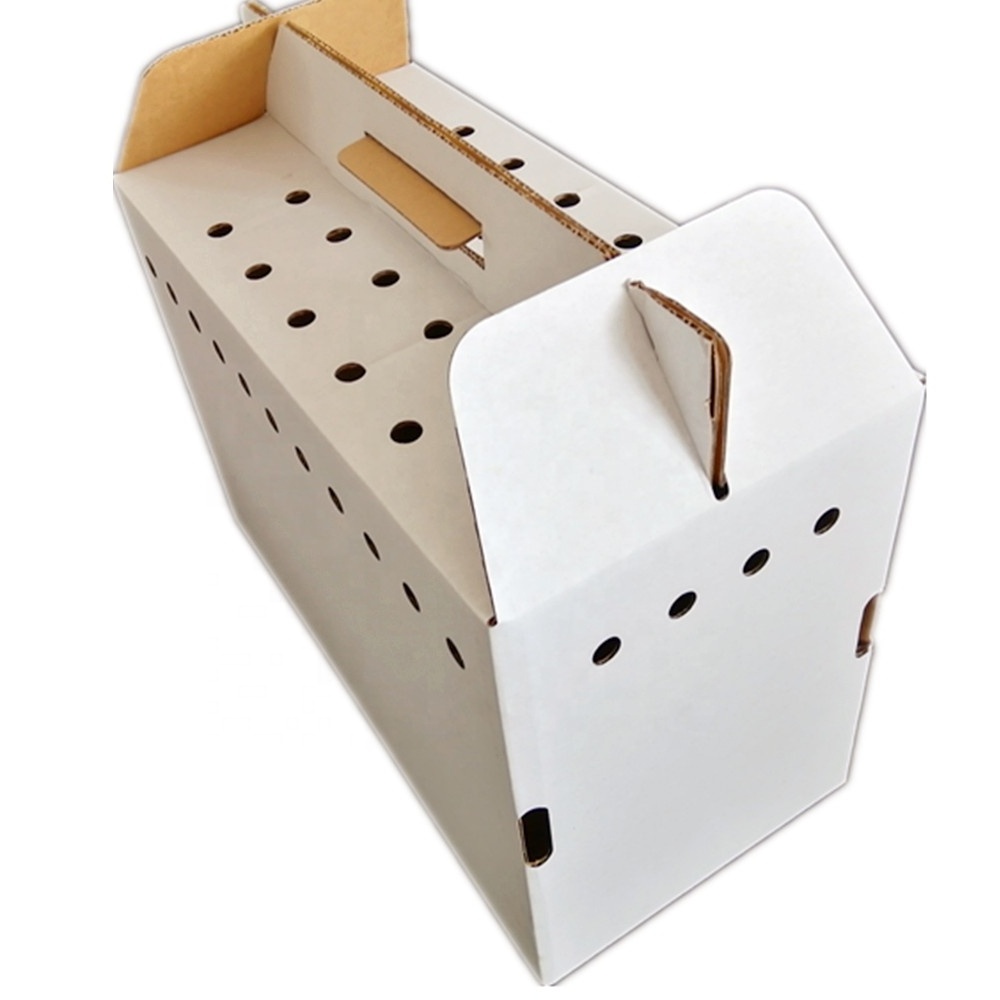 Wholesale pet cat dog carrier ventilated holes corrugated cardboard boxes with cut out handle design