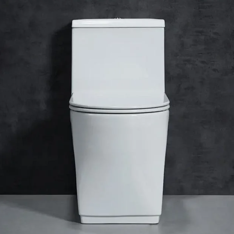 Wc Toilet Sanitary Ware One Piece Toilet