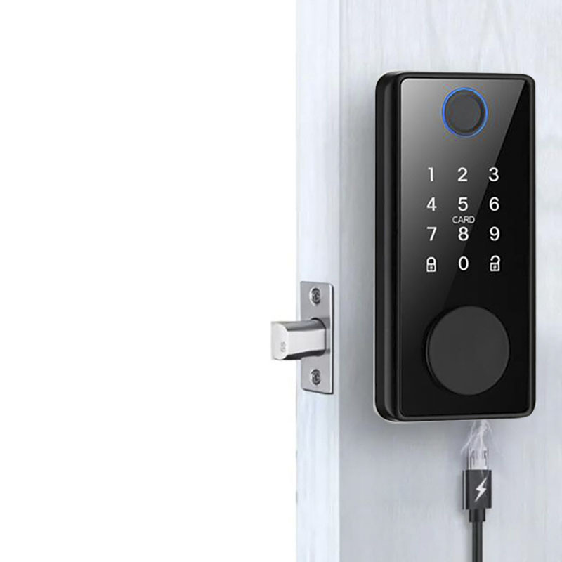 Swing Wood Door Cerradura Inteligente Fechadura Electronic Digital Keypad Fingerprint Smart Deadbolt Lock