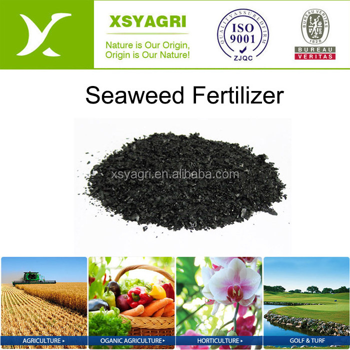 Seaweed Extracts as Bio stimulants of Plant Growth Pure Plant Nutrition Biological Agriculture Fertilizer Seaweed Extract Powder