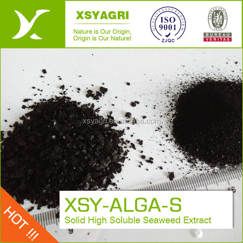 Seaweed Extracts as Bio stimulants of Plant Growth Pure Plant Nutrition Biological Agriculture Fertilizer Seaweed Extract Powder