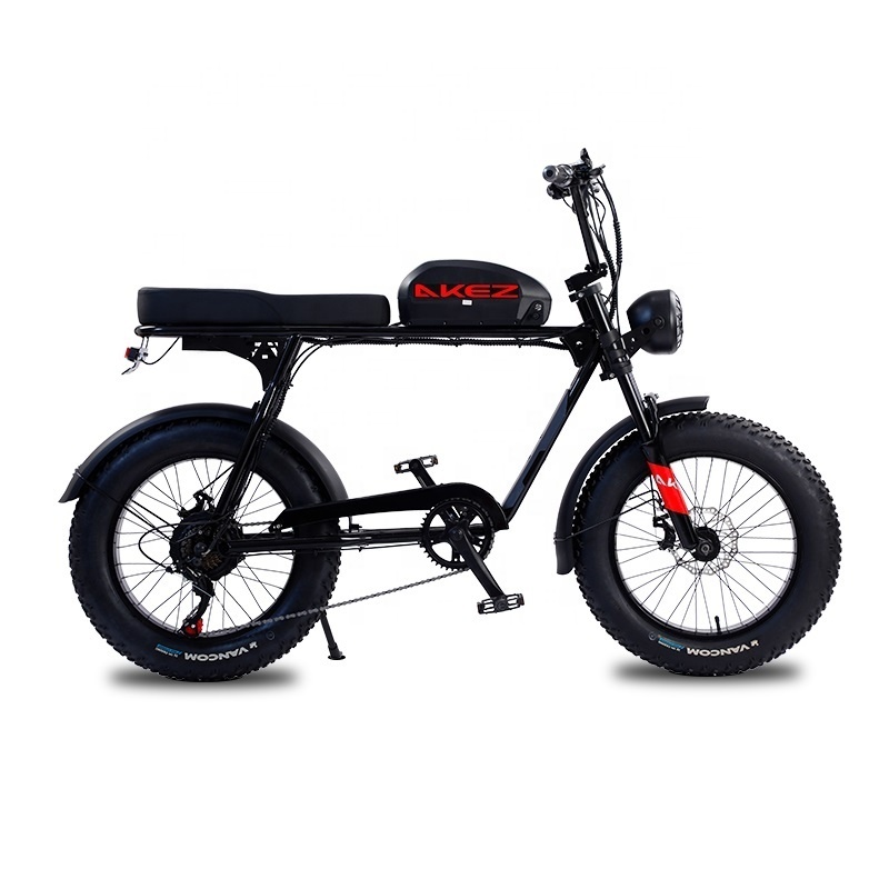 Super Fast Alez 20 Inch 750W 1500W Surron E Bike Bicycle Electric Fat Tire Dirt Mountain E Bike Motorcycle