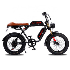 Classic High Quality Akez 20 Inch 750W/1500W Motor Electric Fat Tire Mountain Off Road Bike Motorcycle Enduro Ebike