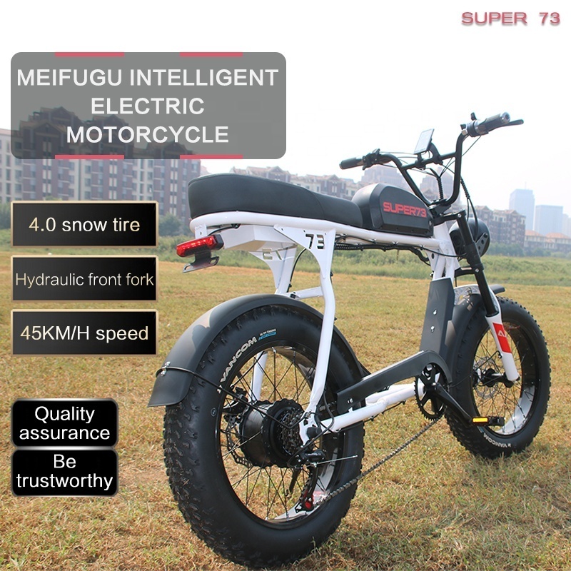 Super Fast Alez 20 Inch 750W 1500W Surron E Bike Bicycle Electric Fat Tire Dirt Mountain E Bike Motorcycle