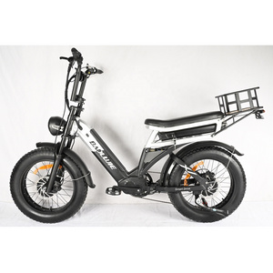 Low Price Fat Tire E Bike Dual Battery Ebike Full Suspension Electric Mountain Bike Dual Motor Bicycle Fat Tire Beach Cruiser