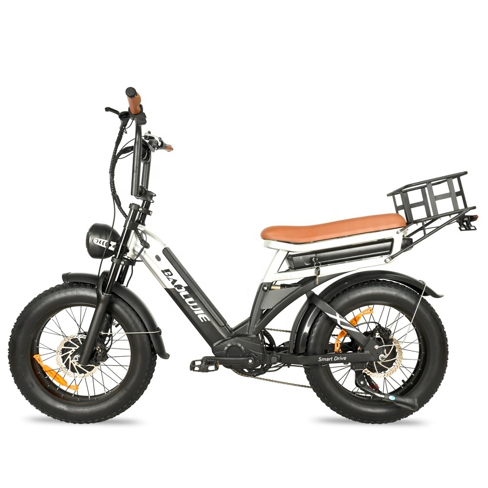 Low Price Fat Tire E Bike Dual Battery Ebike Full Suspension Electric Mountain Bike Dual Motor Bicycle Fat Tire Beach Cruiser