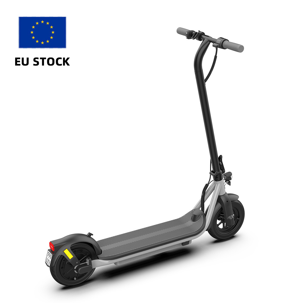 Eu Warehouse 250W 350W Adult Self-Balancing Electric Scooters 10inch 2 Wheel Foldable Adult Electric Scooter