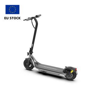 Eu Warehouse 250W 350W Adult Self-Balancing Electric Scooters 10inch 2 Wheel Foldable Adult Electric Scooter