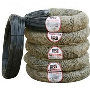 China supplied cheap price Q235 black annealed iron wire soft BWG14 /BWG 16/BWG 18 / 25kg per roll for construction binding wire