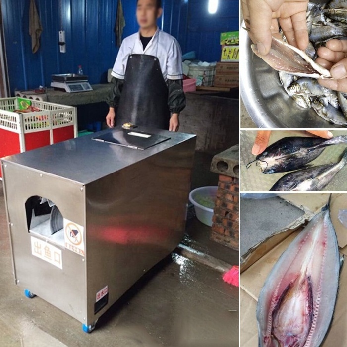 New type for process automatic fish cleaning machine