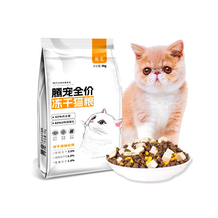 food cat  dry food cat  cat food wet 5kg Healthy formula OME ODM