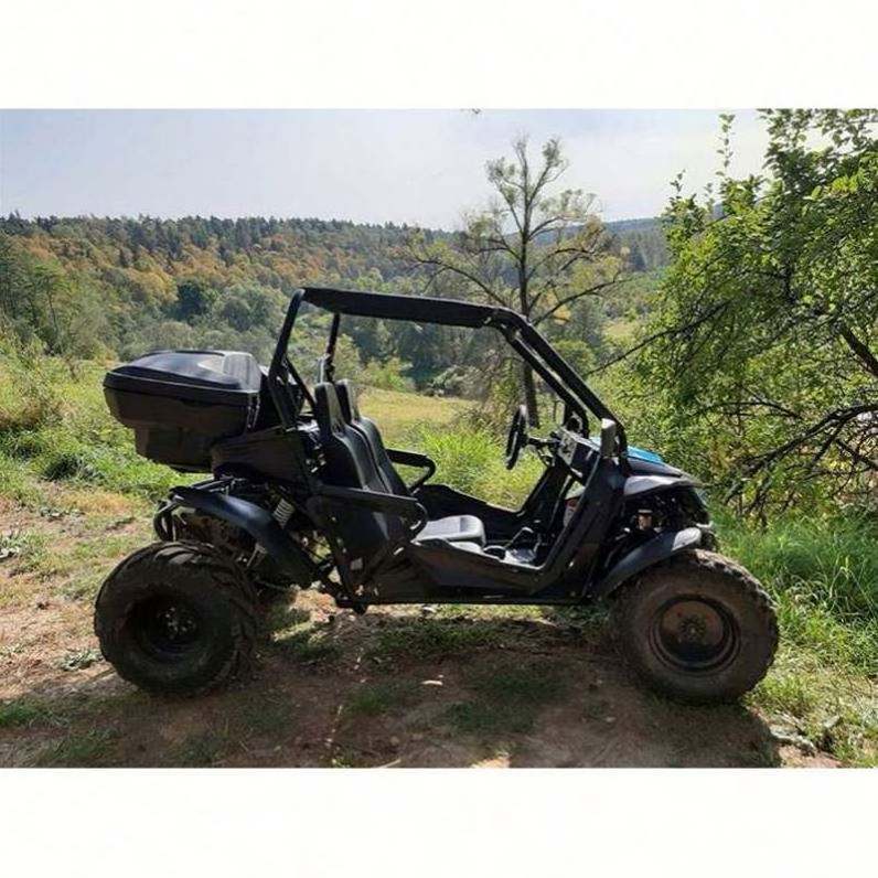 driveline strength buggy 1100cc go kart adult 500cc