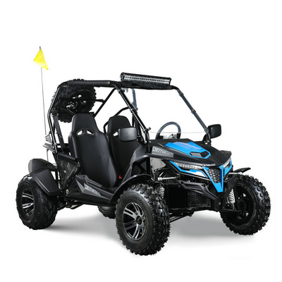 250cc buggy for sale store