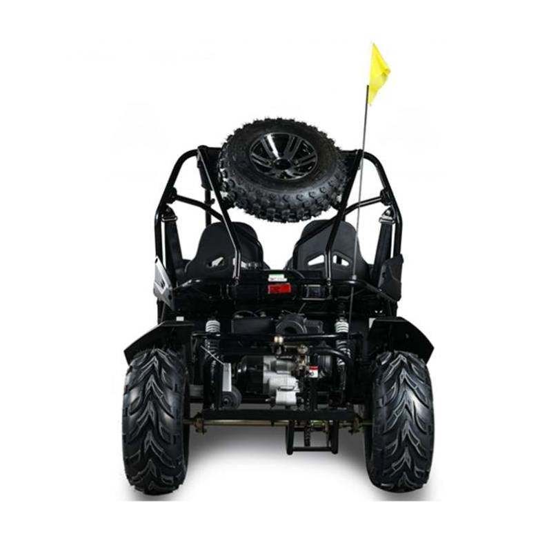 Manufacturing dune buggy handy utility 1100cc road legal buggy