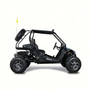 Manufacturing dune buggy handy utility 1100cc road legal buggy