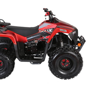 Cheap Price Mini Four Wheel Motorcycle 125cc CE Certification Kids 110cc 4 Wheeler Quad ATV