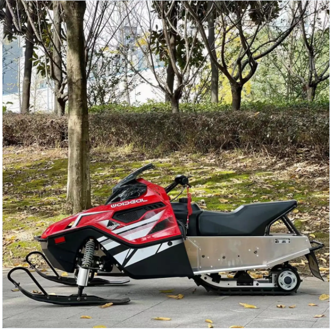 Made in China 300CC displacement snowmobile electric start fuel adult snowmobile