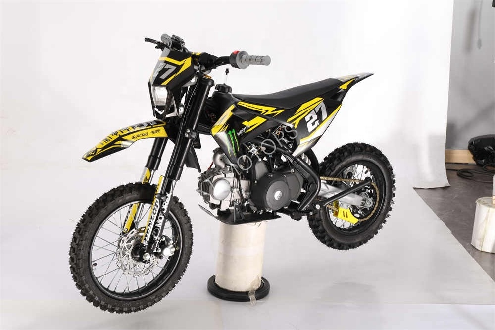 Cheaper Mini Four Strokes 10i nch Wheel Dirt Bikes  110CC Kick Start&e-start For Sale with CE