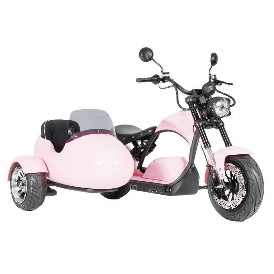 Hot selling 3000W electric scooter with electric trike sidecar motorcycle And Can Take Pets electric tricycles