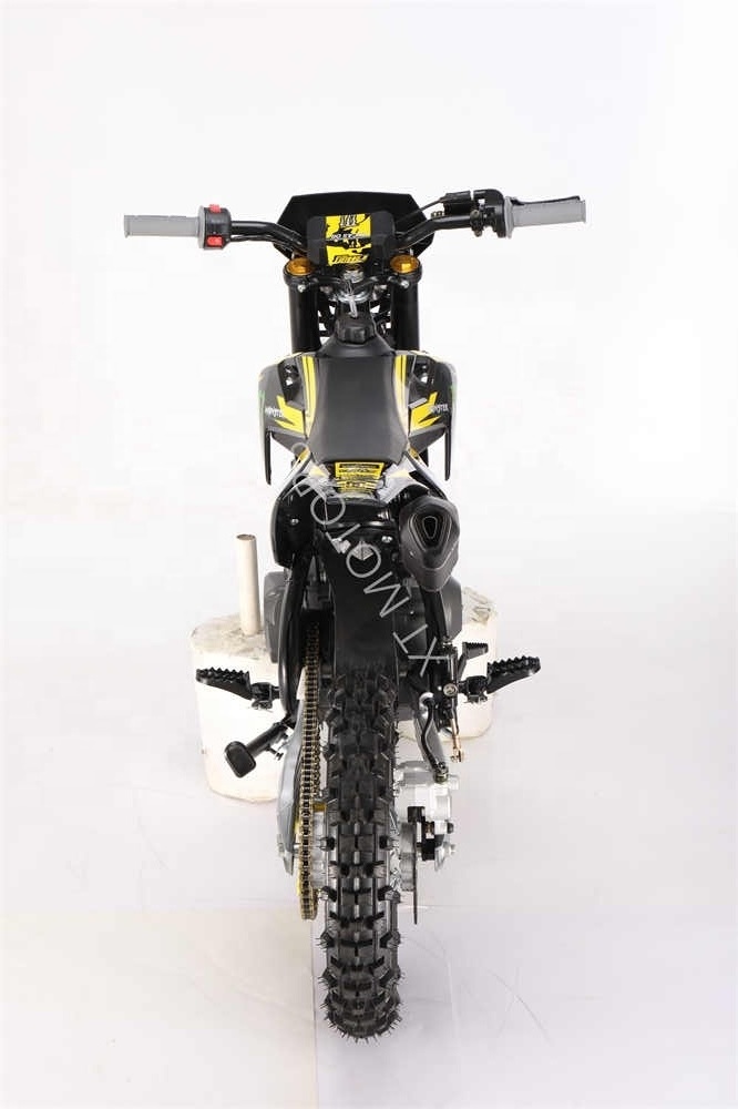 Cheaper Mini Four Strokes 10i nch Wheel Dirt Bikes  110CC Kick Start&e-start For Sale with CE