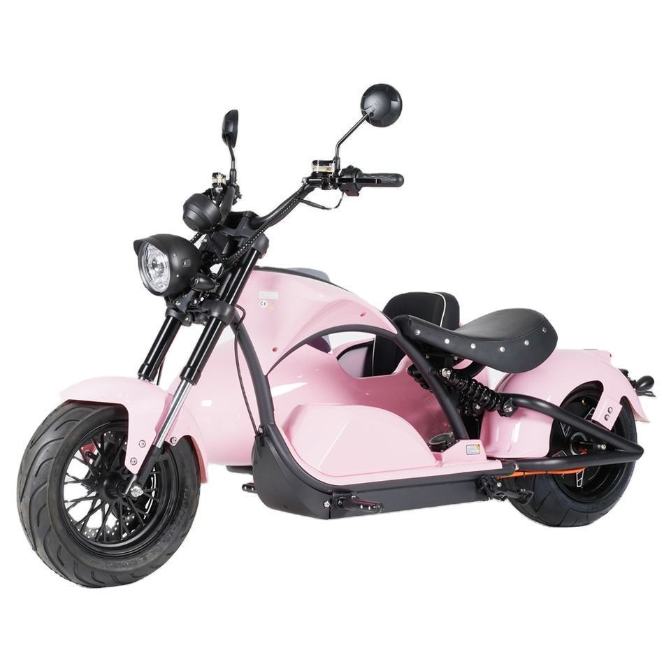 Hot selling 3000W electric scooter with electric trike sidecar motorcycle And Can Take Pets electric tricycles