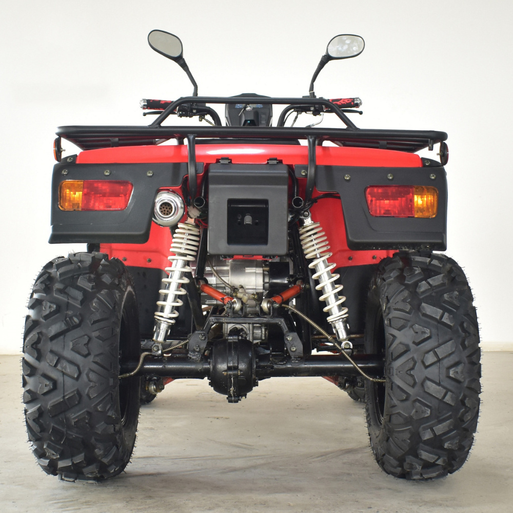 250cc Zongsheng Engine Farm Untility All-terrain Vehicle ATV