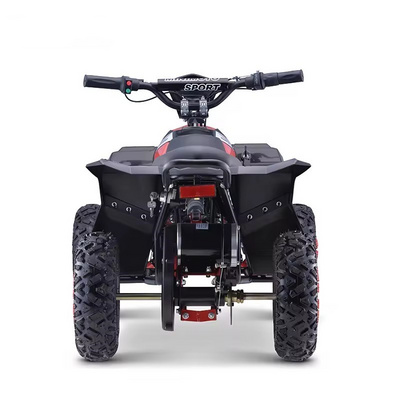 2024 Mini Electric ATV for Kids 1000W36V Electric ATV off-Road Electric Vehicles 4 Wheeler Quad Bike