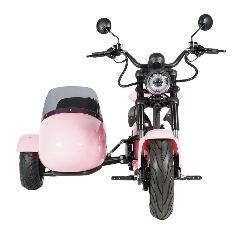 Hot selling 3000W electric scooter with electric trike sidecar motorcycle And Can Take Pets electric tricycles