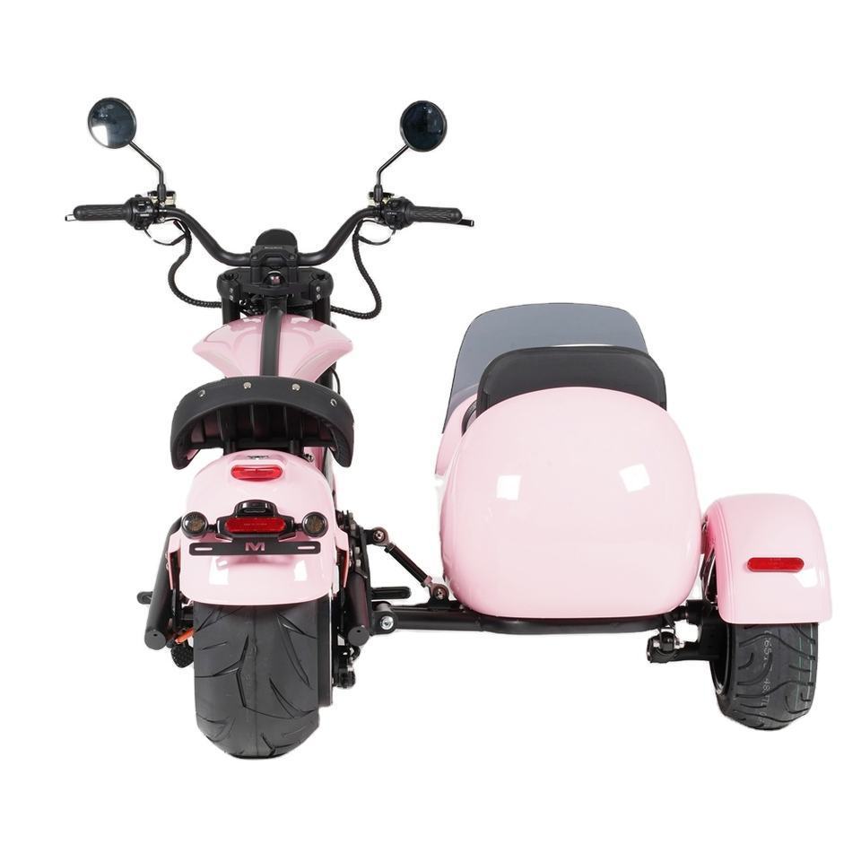 Hot selling 3000W electric scooter with electric trike sidecar motorcycle And Can Take Pets electric tricycles