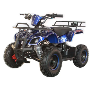 2020 new electric mini ATV outdoor 36V12AH kids ATV 1000W electric Quad 36v 5000w kids quad 4x4 electric atv