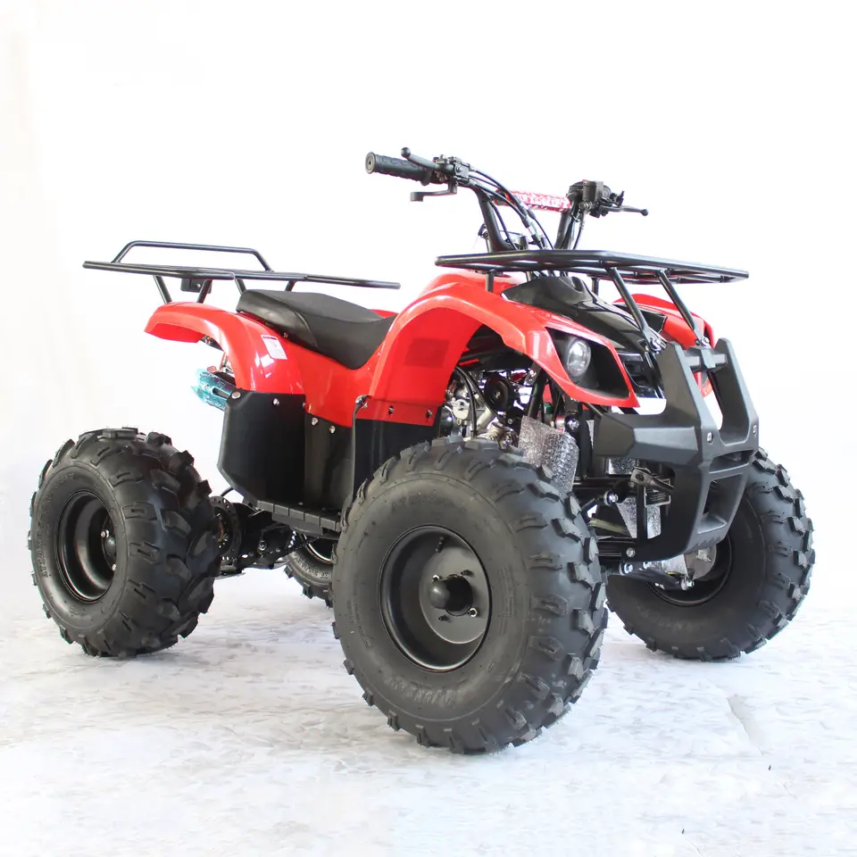 4 Wheel 110 CC ATV Quad Bike For Adult Gas With Drum And Disc Brakes