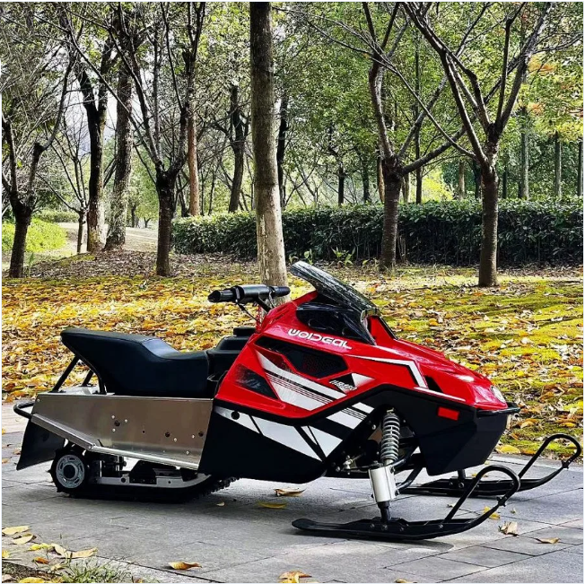 Made in China 300CC displacement snowmobile electric start fuel adult snowmobile