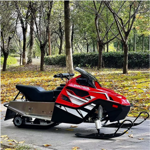 Made in China 300CC displacement snowmobile electric start fuel adult snowmobile