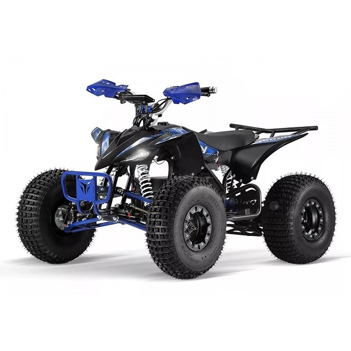 Factory supply 1500W/60V adult quad bike electric atvs