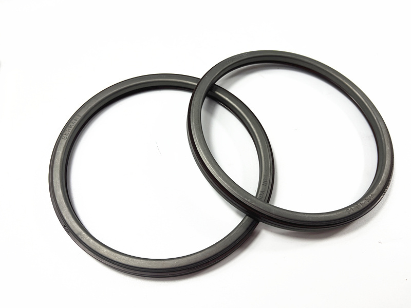 125X142X8/9.2 Rear Hub Bearing Oil Seal Code 1400576 Wheel Hub Oil Seal OEM 1400576 for Seals Type Products