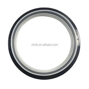 China factory 1392708 truck oil seal  FKM STEEL PTFE and crankshaft oil seal PTFE rubber oil seal 120*140*13