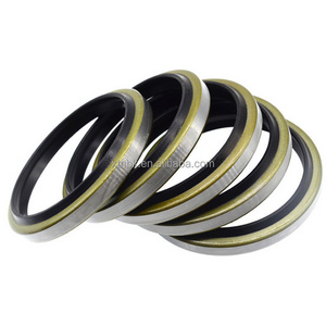 made in China Hydraulic Motor Machine Rotary Shaft Seal NBR DKB DKBI Polyurethane PU Rubber Metal Cylinder Seals Dust Wiper Seal