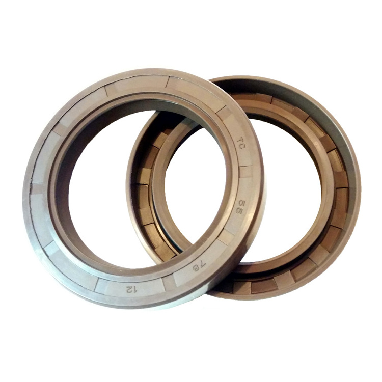 rubber oil seal FKM TC oil seal 75*100*12 double oil seal With Spring skeleton xingtai naibeike Manufacturer