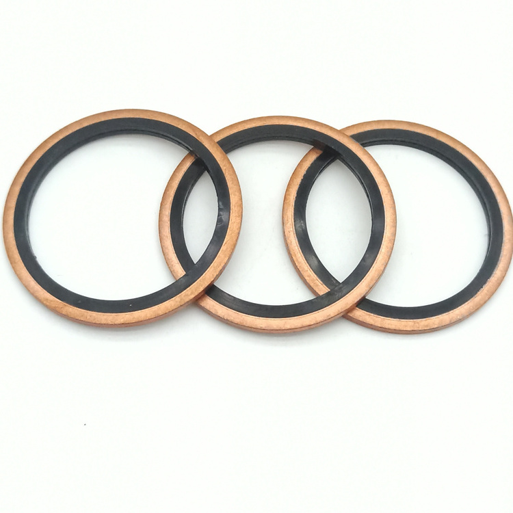 Customized High Quality Carbon Steel With Nbr Rubber Hydraulic Combined Bonded Seal Dowty Washer