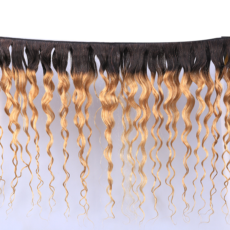 Wholesale Ombre 2 T Colors Hair Bundles With Closure Kinky Curly Wave Hair Extension High Quality Hair From Xuchang