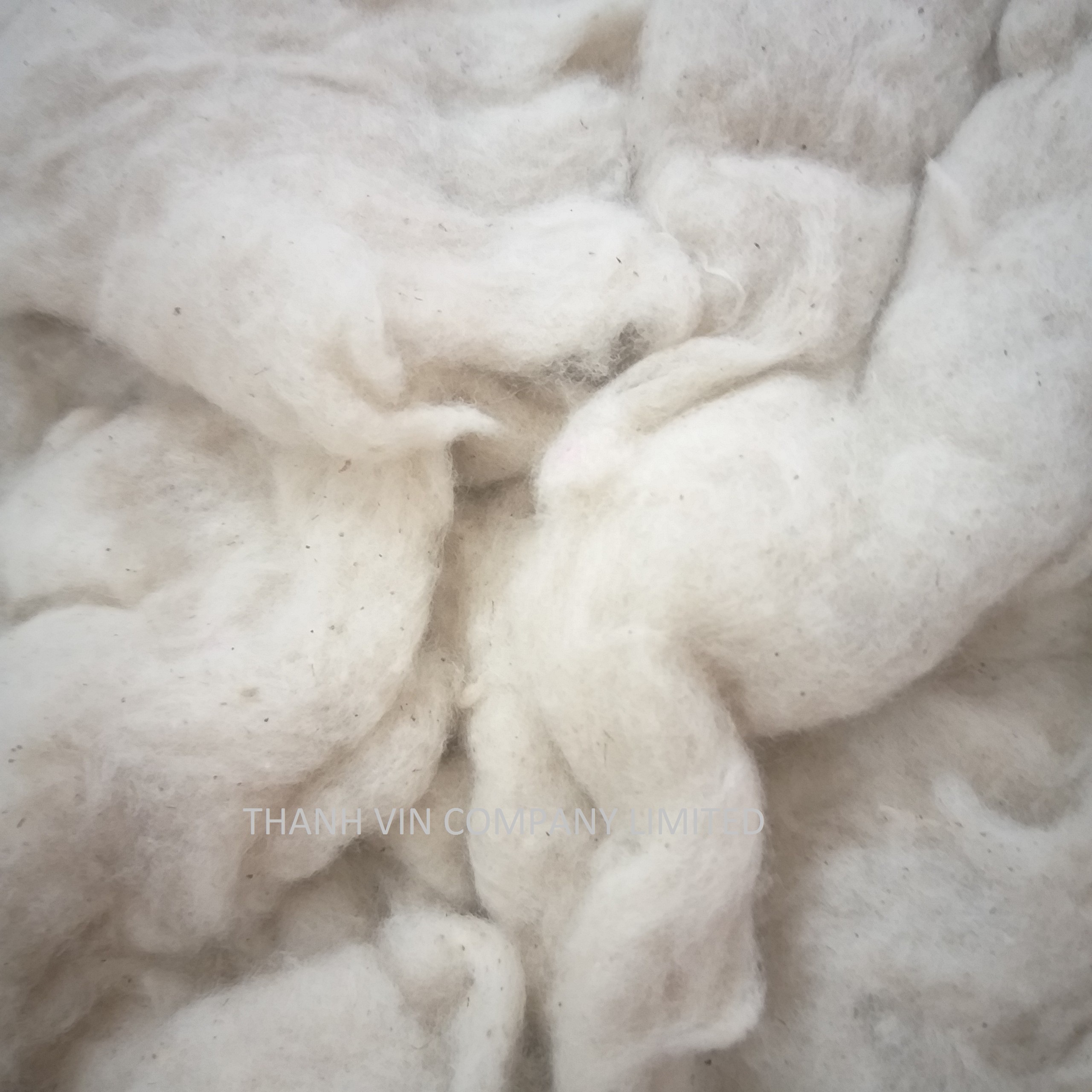 Cotton Fiber Buy 100% raw organic cotton comber cotton noil  for 100% raw fabric