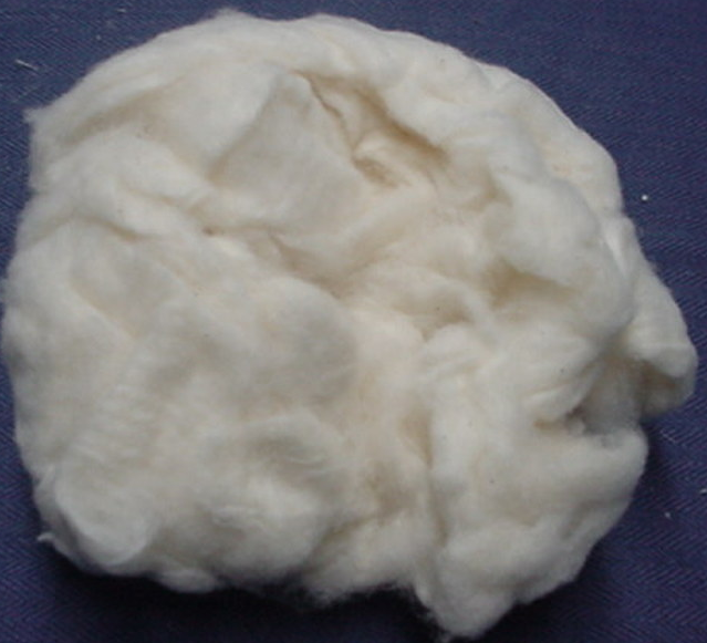 Bleached cotton & comber noil from textile mill with negotiable price and best quality for export