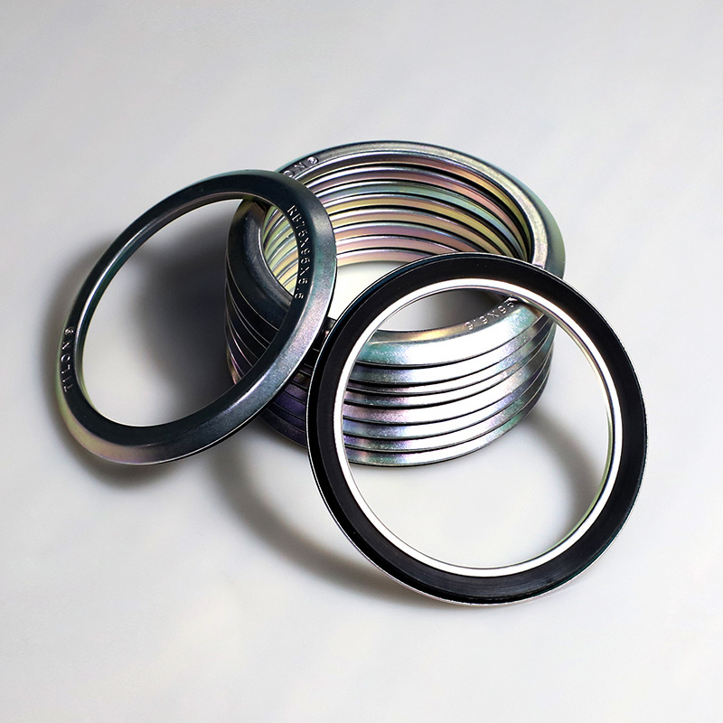 Metal frame rubber seal ring RB mechanical oil seal for motor shafts