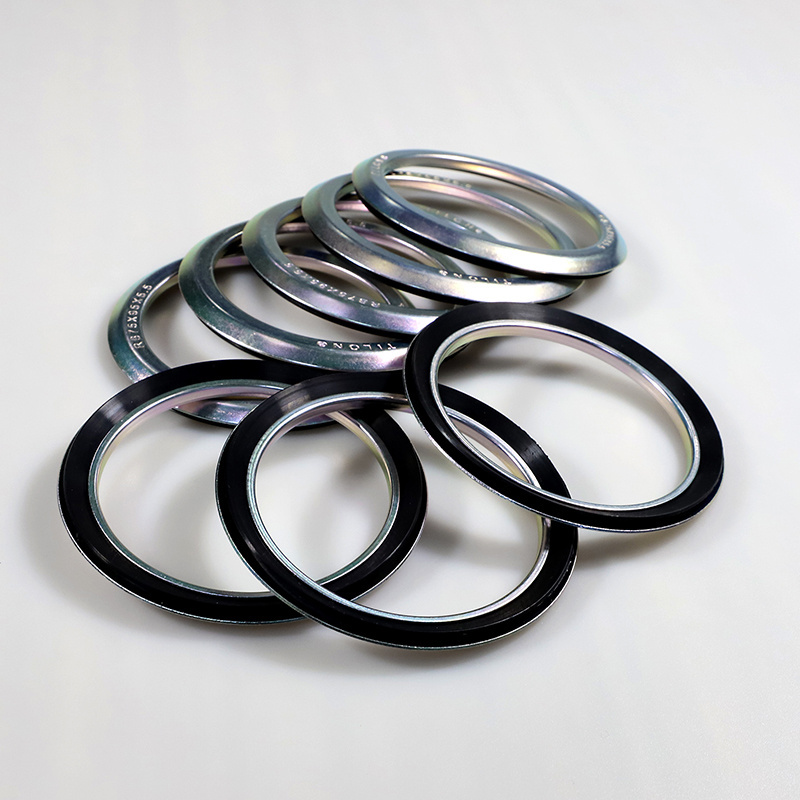 Metal frame rubber seal ring RB mechanical oil seal for motor shafts