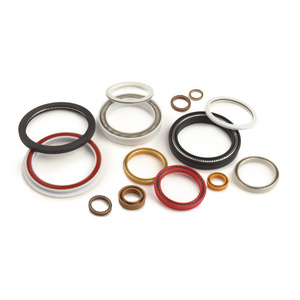 Spring Energized Polymer PTFE+Carbon seal