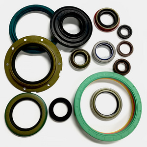 NBR FKM FPM oil seal wheel hub oil seal bearing seal for auto