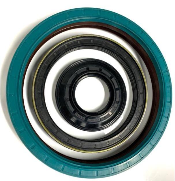 TC NBR FKM FPM High Abrasion Resistance National Industrial Shaft Oil Seals