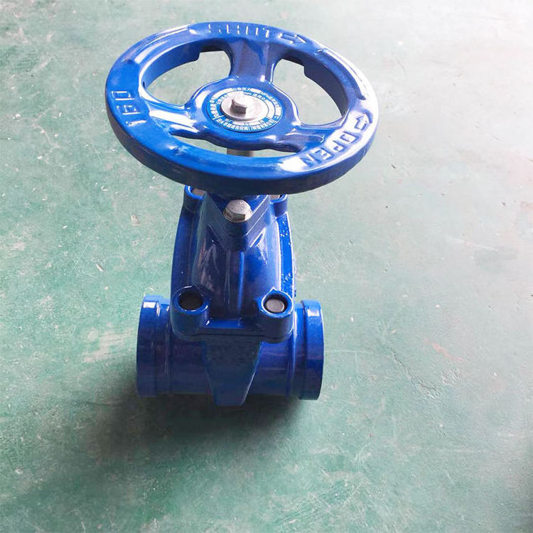 High quality cast iron resilient seated flange gate valves