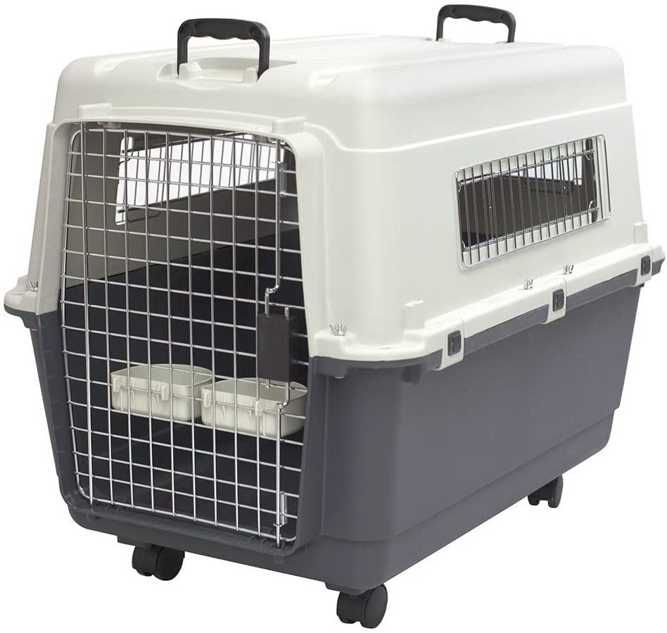 Designs Plastic Kennels Rolling Plastic Airline Approved Wire Door Travel Dog Crate